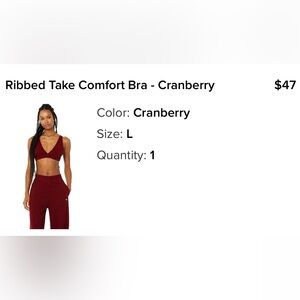 ALO Comfort Bra in Cranberry
